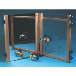 Mirror Insert
