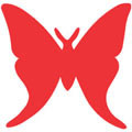 Butterfly Large Die