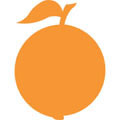 Orange Large Die
