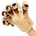 5 Little Monkeys & Mitt Set