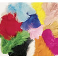 Art Feathers