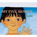 My Five Senses (Big Book)