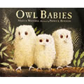 Owl Babies - Hardback Book