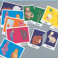 Sounds Alike Puzzles