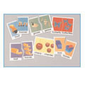 Irregular Plural Nouns Puzzles