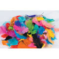 Feathers