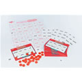 Sight Words Bingo