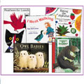 Big Book Starter Set