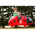 Scarlet the Ladybug