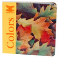 Colors (Board Book)