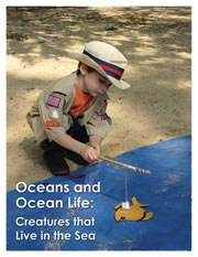 Oceans and Ocean Life